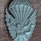 QW9 N3 10 - insigna - militar - parasutism - parasutist in zbor