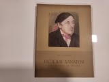 Pictorii banateni din secolul al XIX-lea de Ion Frunzetti