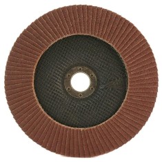 Abraziv/smirghel lamelar frontal, P 80, 125 mm foto