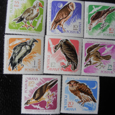 Serie timbre romanesti fauna animale pasari nestampilate Romania MNH