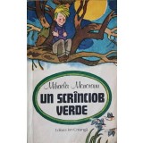 UN SCRANCIOB VERDE-MIHAELA MONORANU-240332