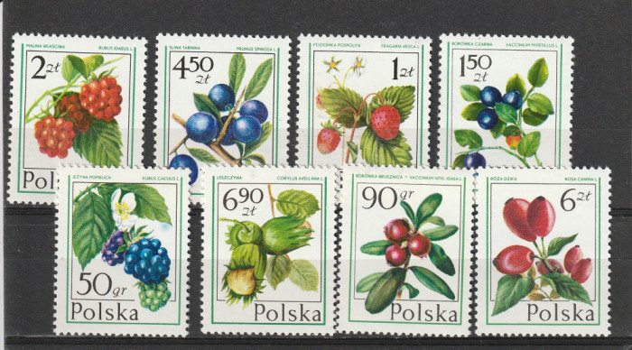 Flora ,fructe ,Polonia.