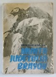 MUNTII JUDETULUI BRASOV de ARISTIDE STAVROS , 1979 * COPERTA UZATA