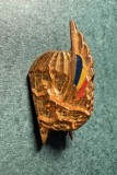Insigna miniatura la medalie de parașutist sportiv
