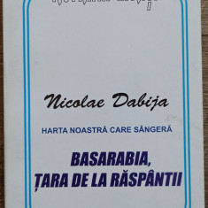 Basarabia, tara de la raspantii - Nicolae Dabija// 2004