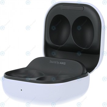 Samsung Galaxy Buds2 2021 (SM-R177) Husă de &icirc;ncărcare neagră GH82-26089B