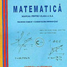 Matematica Cls 10 Trunchi Comun + Curriculum Diferentiat - Mircea Ganga