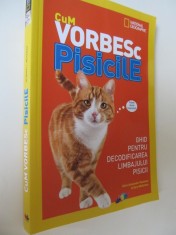 Cum vorbesc pisicile - Ghid pentru decodificarea limbajului pisicii foto