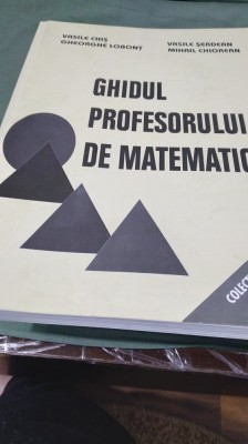 GHIDUL PROFESORULUI DE MATEMATICA -VASILE/FORMAT FOARTE MARE foto