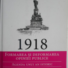 1918. Formarea si deformarea opiniei publice. Agenda unui an istoric, vol. II (iunie-octombrie) – Andrei Ando
