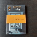Ismail Kadare - Umbra