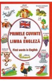 Primele cuvinte in limba engleza. First words in English