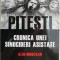 Pitesti. Cronica unei sinucideri asistate &ndash; Alin Muresan