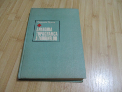 EUGENIU PASTEA--ANATOMIA TOPOGRAFICA A TAURINELOR - 1990 factura fiscala foto