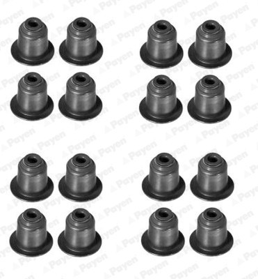 PAYEN HR5045 Set garnituri, ax supape foto