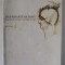 NEUROARTHISTORY , FROM ARISTOTLE AND PLINY TO BAXANDALL AND ZEKI by JOHN ONIANS , 2007 , PREZINTA HALOURI DE APA *