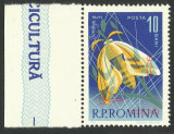 EROARE ROMANIA 1963 LP 574 SERICICULTURA SI APICULTURA 10 BANI MNH