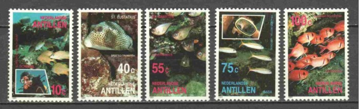 ANTILELE OLANDEZE 1991 PESTI TROPICALI