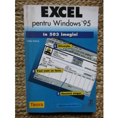 Excel pentru Windows 95 in 503 imagini Cathy Kenny
