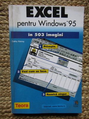 Excel pentru Windows 95 in 503 imagini Cathy Kenny foto