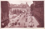 AMS % - ILUSTRATA BUCURESTI, VEDERE PE CALEA VICTORIEI - NECIRCULATA, Printata