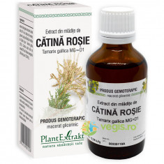 Extract din Mladite de Catina Rosie(Tamarix gallica) 50ml