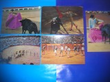 HOPCT LOT NR 929 TOREADOR/TOREADORI-MESERIE/MESERII -5 CARTI POSTALE-CIRCULATE