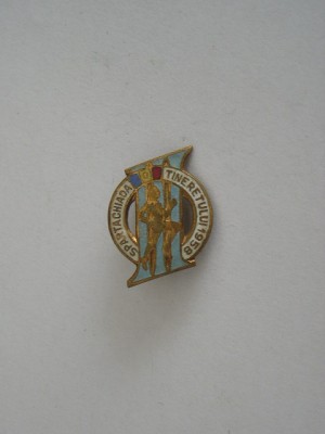 QW9 N5 18 - insinga - tematica sport - Spartachiada tineretului - 1958 foto