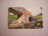B11 8 - Carduri si cartele telefonice - Japonia - Pisici - piesa de colectie