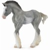 Manz Clydesdale Negru, Collecta