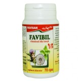 FAVIBIL 70cps FAVISAN
