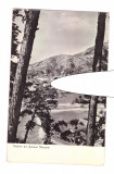 CP Vedere din Simleul Silvaniei, RPR, circulata 1964, stare buna, Printata, Salaj