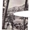 CP Vedere din Simleul Silvaniei, RPR, circulata 1964, stare buna
