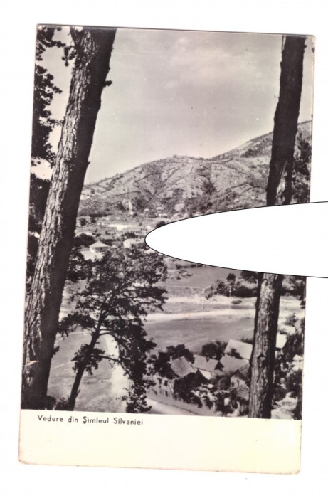 CP Vedere din Simleul Silvaniei, RPR, circulata 1964, stare buna