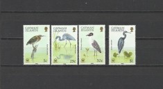 CAYMAN 1988 FAUNA PASARI STARCI foto