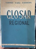 Glosar Regional - Vasile Arvinte, D. Ursu, M. Bordeianu - Editura Academiei 1961, 84 pagini - Carte Eseuri, Critica literara