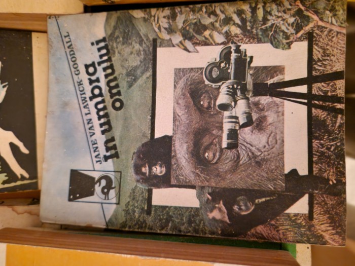 &Icirc;n umbra omului vintage