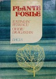 PLANTE FOSILE-IUSTINIAN PETRESCU, OVIDIU DRAGASTAN-341162