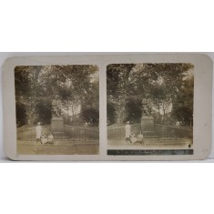 DRESDA , MONUMENTUL LUI LUDWIG RICHTER , FOTOGRAFIE STEREOSCOPICA , INCEPUTUL SEC. XX