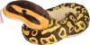 Sarpe BALL PYTHON, Wild Republic