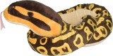 Sarpe BALL PYTHON