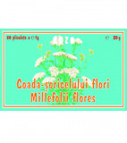 COADA SORICELULUI 20DZ