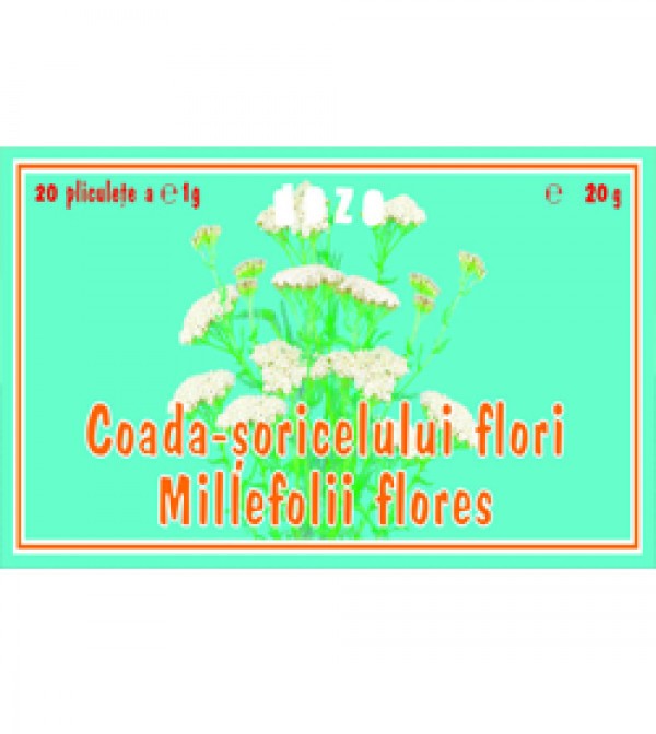 COADA SORICELULUI 20DZ
