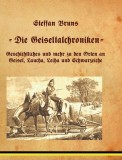 Geiseltalchroniken: Geschichte des Geiseltales und seiner Umgebung