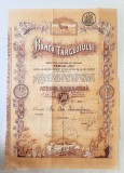 Actiune Banca Targu Jiului 1920, 500 Lei, Document Istoric Colectie, Act Albina, Steaua