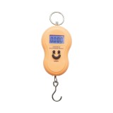 Cantar electronic digital de mana portabil 50Kg Breckner Germany
