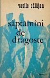 Saptamani de dragoste - Vasile Salajan