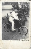 P2957N Băiat cu bicicletă și br&acirc;u tricolor, Brăila, 1928