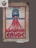 N Vamasescu Istoricul Operei romane din Bucuresti - adevaruri crude