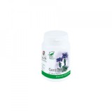 GENTIANA 60CPS